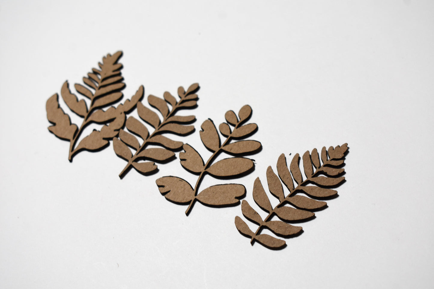 Fern leaves bundle - Creative Designs By Kari