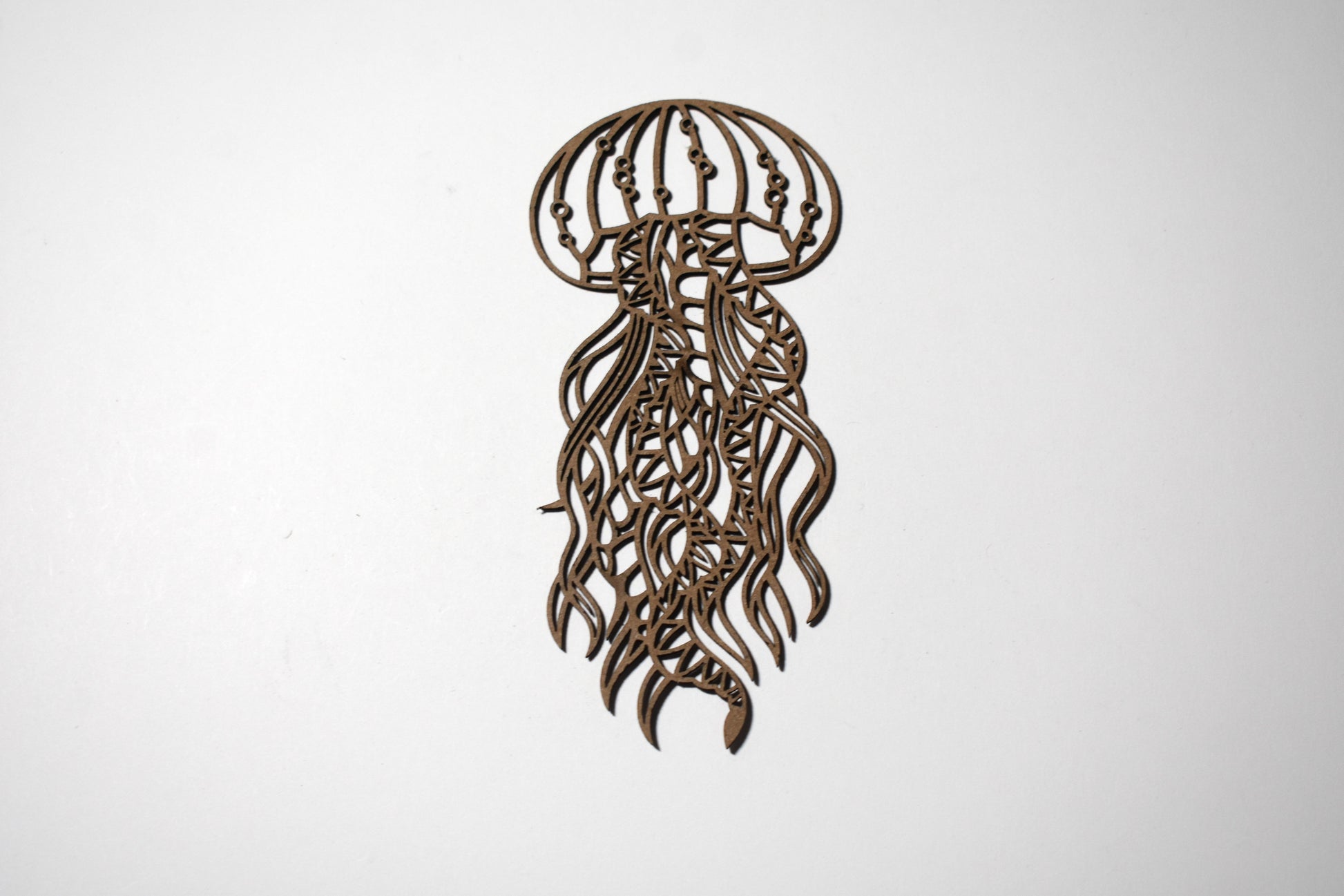 Jellyfish - detailed - Creative Designs By Kari