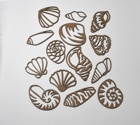 Seashell bundle - Creative Designs By Kari