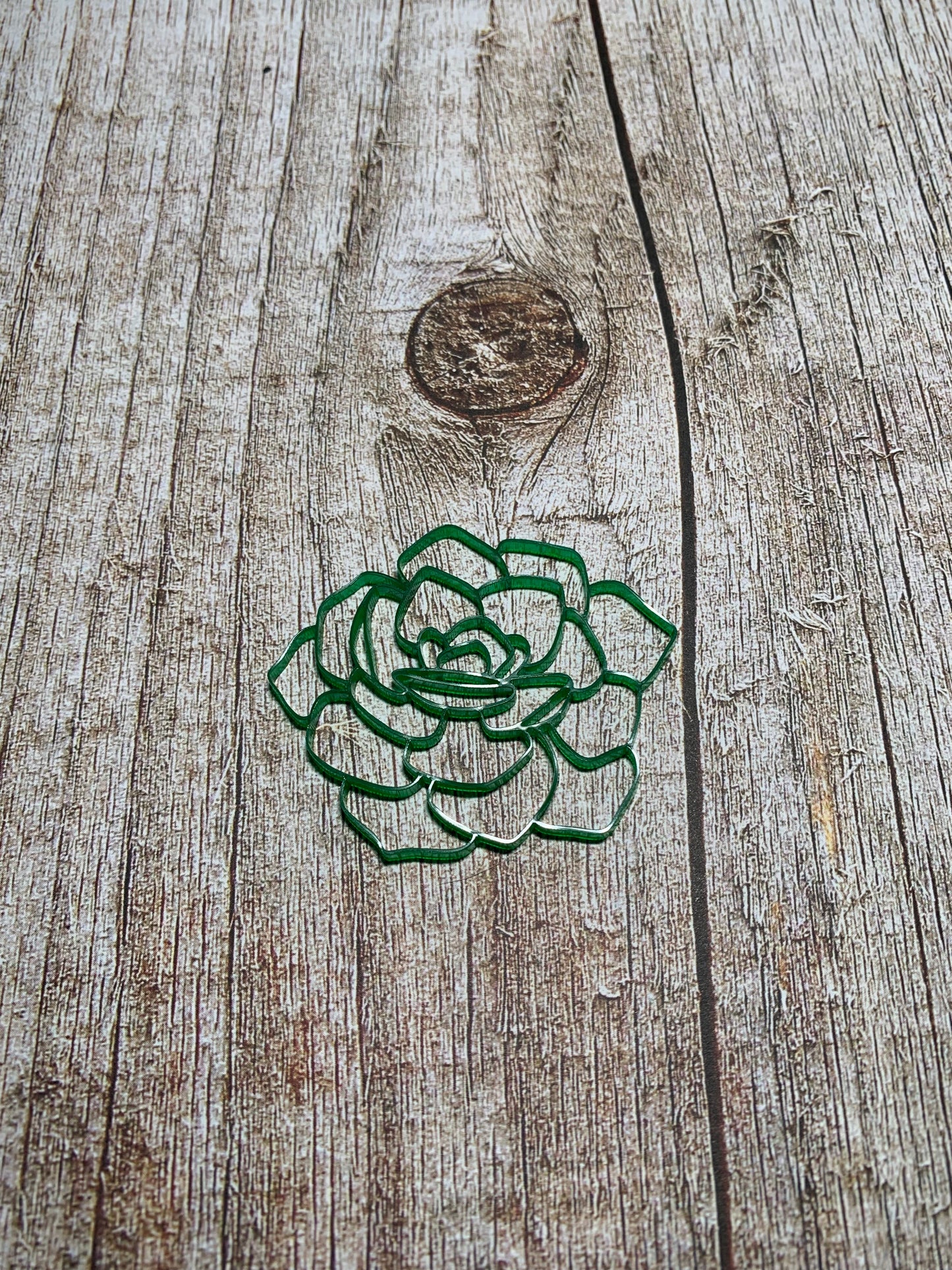 Succulent outline - Creative Designs By Kari